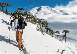 Family Freeride & Backcountry Trip