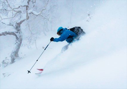 Hokkaido Powder Tour