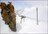 Clubbies Snow Hunter Safari
