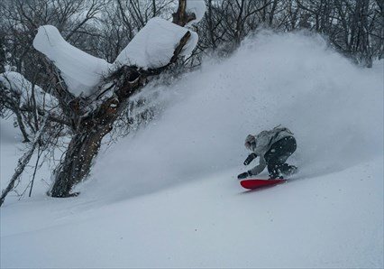 Powder Progression