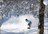 Powder Progression
