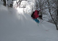 Aizu Escape
