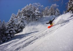 Nagano Niigata Backcountry Guiding