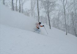 First Tracks Unlimited