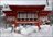 Fire & Snow