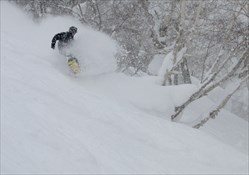 The Powder Triangle Tour
