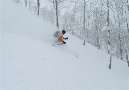 Yuki Pow Progression Tour