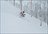 Yuki Pow Progression Tour