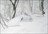 Yuki Pow Progression Tour