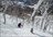 Shiribetsu-Dake Day Heliskiing