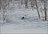 Shiribetsu-Dake Day Heliskiing