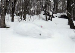 Nagano Ski Buffet