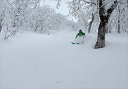 Ani Backcountry Guiding