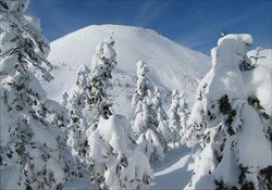 Hakkoda Private Guided Packages