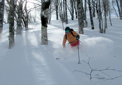 Nagano Indy Trip