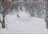 Unguided hosted Nagano Indy Trip
