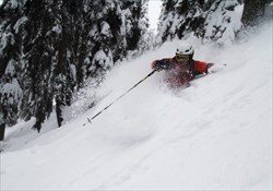 Gulmarg Powder Pilgrimage