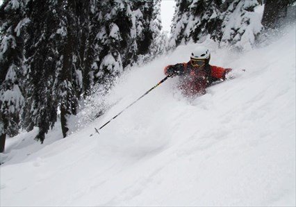 Gulmarg Powder Pilgrimage