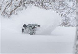 Niseko Weeks