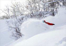 Aizu Freeride Tour