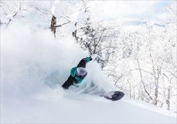 Asahikawa Freeride Tour