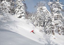 Morioka Freeride Tour