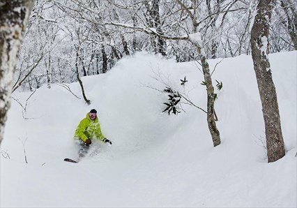 Myoko Powder Hunter