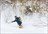 Myoko Explorer Tour