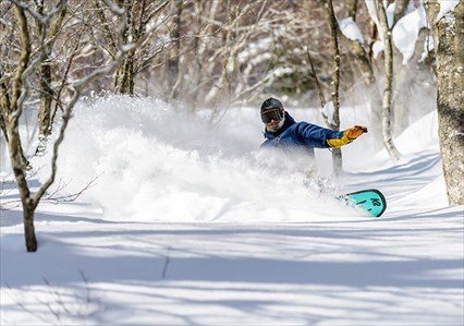Niseko Freeride Tour