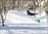 Niseko Freeride Tour