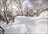 Niseko Freeride Tour