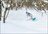 Niseko Freeride Tour