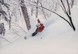 Otaru Freeride Tour