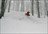 Japan Snow Tour