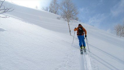 Niseko Backcountry Tours