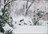 Niseko Zen Guided Multi-Day Tours