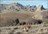 Argentina All Mountain