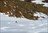 Ultimate Andes Adventure
