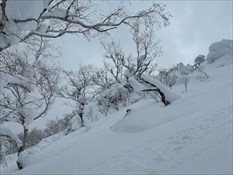 Myoko to Hakuba Backcountry