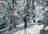 Ridder Altai Ski Touring