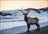 Ski Adventure China Xinjiang