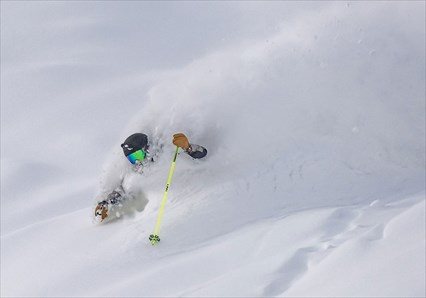 Guided Photography Tours Niseko