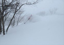 Aomori & Morioka Trip