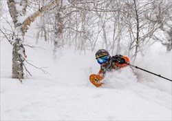 Central Hokkaido Powder Week