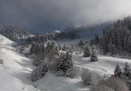 Almaty Day Guiding