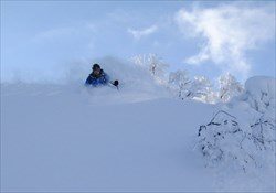 Snow Okami Weekly Tours