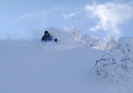 Snow Okami Weekly Tours