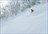 Snow Okami Weekly Tours