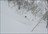 Snow Okami Weekly Tours