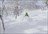 Snow Okami Weekly Tours